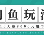 龟课·闲鱼项目玩法实战班第12期，操作10天左右利润有8000元细节玩法-易得个人分享