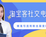 某站内部课程：淘宝客社交电商裂变，精准引流和粉丝裂变模式详解（共6节视频）-易得个人分享