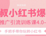 狼叔小红书爆款推广引流训练课4.0，手把手带你玩转小红书-易得个人分享