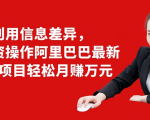 利用信息差异,零投资操作阿里巴巴最新管道项目轻松月赚10000+-易得个人分享