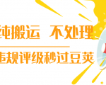 抖音纯搬运 不处理 小技巧，30秒发一个作品，避免违规评级秒过豆荚-易得个人分享
