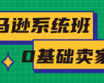 亚马逊系统班，专为0基础卖家量身打造，亚马逊运营流程与架构-易得个人分享
