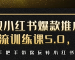 小红书爆款推广引流训练课5.0，手把手带你玩转小红书（17节实操视频+话术）-易得个人分享
