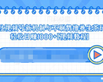 视频号新机制与不刷赞撸养生茶玩法，轻松日赚1000+-易得个人分享
