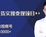 柚子分享课：微信视频号变现攻略，新手零基础轻松日赚千元-易得个人分享