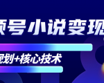 柚子微信视频号小说变现项目，全新玩法零基础也能月入10000+【核心技术】-易得个人分享