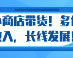 微信小商店带货,爆单多倍收入,长期复利循环!日赚300-800元不等-易得个人分享