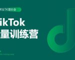 2020最新TikTok流量增长训练营（完结）附PPT-易得个人分享