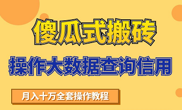 搬砖操作大数据查询信用项目赚钱教程，祝你快速月入6万-易得个人分享