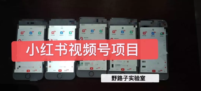 野路子小红书视频号1.0项目，直接上手操作就能赚钱的视频号项目-易得个人分享