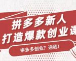 拼多多新人打造爆款创业课:快速引流持续出单,适用于所有新人-易得个人分享