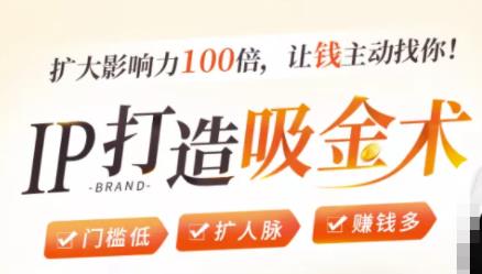 IP打造吸金术：0基础0资源，也能扩大影响力100倍，让钱主动找你！-易得个人分享