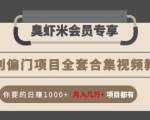 暴利偏门项目全套合集视频教程：你要的日赚1000+月入几万+项目都有-易得个人分享