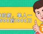 Paypal拉新赚美刀项目，单人一天利润500-1000刀【视频课程】-易得个人分享