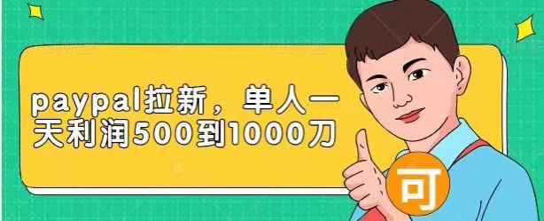 Paypal拉新赚美刀项目，单人一天利润500-1000刀【视频课程】-易得个人分享