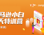 雨课·亚马逊小白特训营第9期 跨境电商挺赚钱的 有朋友已经月入几十万美金-易得个人分享