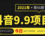 抖音9.9课程项目，没粉丝也能卖课，一天300+粉易变现-易得个人分享