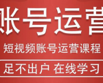 短视频账号运营课程：从话术到短视频运营再到直播带货全流程，新人快速入门-易得个人分享