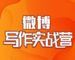 村西边老王·微博超级写作实战营，帮助你粉丝猛涨价值999元-易得个人分享