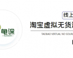 龟课·淘宝虚拟无货源电商5期，全程直播 现场实操，一步步教你轻松实现躺赚-易得个人分享