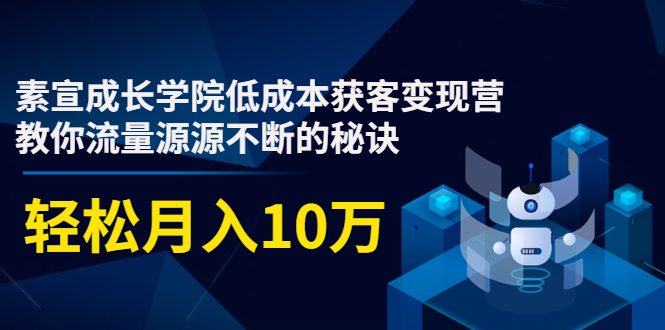 素宣成长学院低成本获客变现营，教你流量源源不断的秘诀，轻松月入10万-易得个人分享