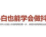2021最新抖音小店无货源课程,小白也能学会做抖店,轻松月入过万-易得个人分享