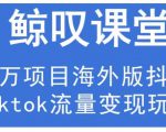 鲸叹号·海外TIKTOK训练营，百万项目海外版抖音tiktok流量变现玩法-易得个人分享