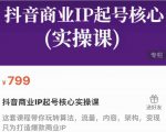 抖音商业IP起号核心实操课，带你玩转算法，流量，内容，架构，变现-易得个人分享