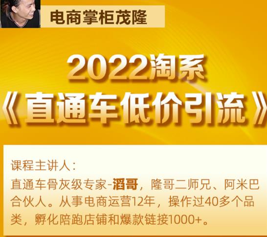 茂隆2022直通车低价引流玩法，教大家如何低投入高回报的直通车玩法-易得个人分享