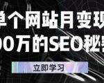 单个网站月变现100万的SEO秘密，百分百做出赚钱站点-易得个人分享