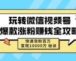 玩转微信视频号爆款涨粉赚钱全攻略，快速涨粉百万变现万元秘诀-易得个人分享