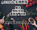 漆十二美食摄影，25​节promovie实操高手课节-易得个人分享