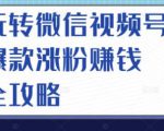 玩转微信视频号爆款涨粉赚钱全攻略，让你快速抓住流量风口，收获红利财富-易得个人分享