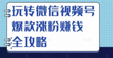 玩转微信视频号爆款涨粉赚钱全攻略，让你快速抓住流量风口，收获红利财富-易得个人分享