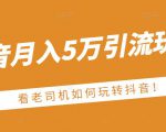 老古董·抖音月入5万引流玩法，看看老司机如何玩转抖音(附赠：抖音另类引流思路)-易得个人分享