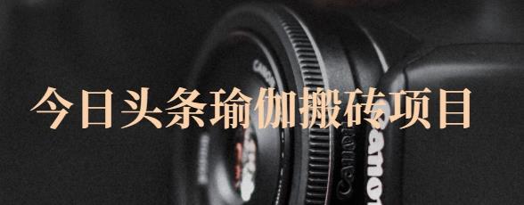 猎人社区·今日头条瑜伽搬砖项目，单号一天几十收入，可以批量操作！-易得个人分享