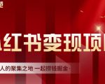 渣圈学苑·小红书虚拟资源变现项目，一起捞钱掘金价值1099元-易得个人分享