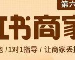 贾真-小红书商家营第6期商家版，21天带货陪跑课，让商家丢掉付流量-易得个人分享