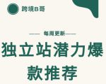 【跨境B哥】独立站潜力爆款选品推荐,测款出单率高达百分之80-易得个人分享