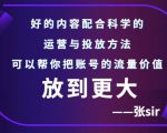 张sir账号流量增长课，告别海王流量，让你的流量更精准-易得个人分享
