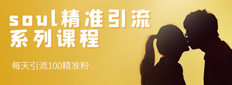 soul精准引流系列课程，每天引流100精准粉-易得个人分享