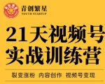 张萌21天视频号实战训练营,裂变涨粉、内容创作、视频号变现 价值298元-易得个人分享