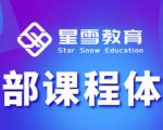 星雪教育淘系高级班,更全的运营提升方案,零基础由浅入深,店铺最新玩法-易得个人分享