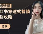 苏歆：小红书穿透式营销收割攻略，引爆流量，助你玩转小红书-易得个人分享