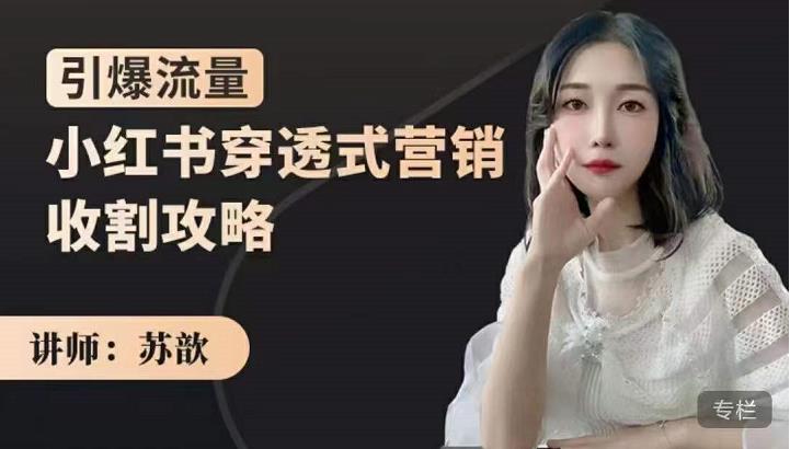苏歆：小红书穿透式营销收割攻略，引爆流量，助你玩转小红书-易得个人分享