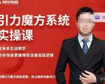 阿呆-引力魔方系统实操课，全体系实战教学，助你快速掌握推荐流量底层逻辑-易得个人分享