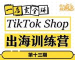TikTokShop出海训练营（第十三期），打开全球流量新思维，出海抢占全球新流量，一店卖全球-易得个人分享