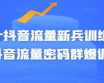 Peter抖音流量新兵训练营-破解抖音流量密码群爆训练营(新兵)-易得个人分享