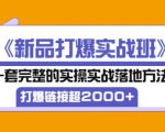 凌童《新品打爆实战班》,一套完整的实操实战落地方法,打爆链接超2000+(28节课)-易得个人分享
