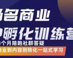 杨名商业IP孵化训练营,从商业到内容到转化一站式学 价值5980元-易得个人分享